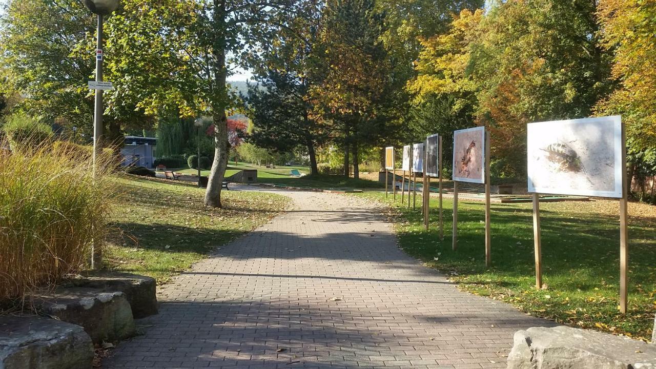 Meubles Du 25 N2 F2 Rdc Διαμέρισμα Niederbronn-les-Bains Εξωτερικό φωτογραφία